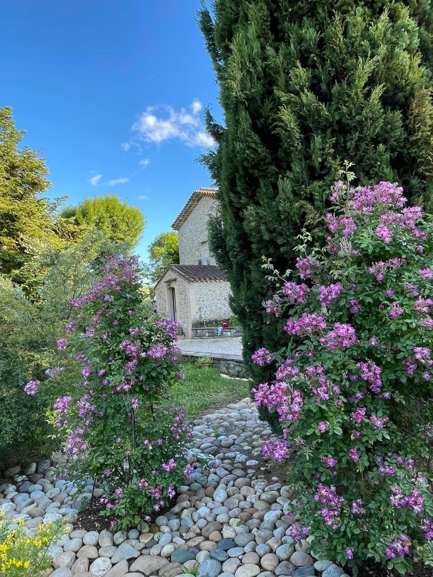 Bed and Breakfast Mas D'Olive Et Kalou Sauve Exterior foto